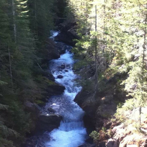 👚🌟🌻Welcome To My Closet🌻🌟👚 - Picture 2 of 6